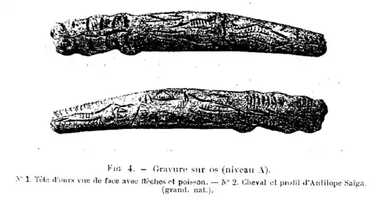 Fig. 4. Gravures sur os (Saint-Périer, 1920)