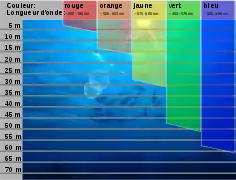 Absorption de la lumière en fonction de la profondeur.