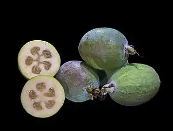 Goyave-ananas (Feijoa sellowiana).