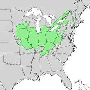 Description de l'image Acer_nigrum_range_map_1.png.