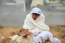 Nonne de religion jaïne avec un veau.