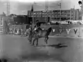 Saddle bronc.