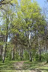 Entre Loire et forêt d'Orléans, Semoy, une des portes d'Orléans Métropole.