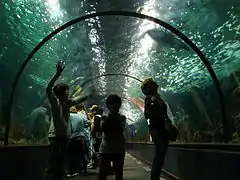 Aquarium