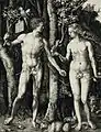 Adam et Ève, 1504, 24,92 × 19,21 cm, Musée d'art du comté de Los Angeles