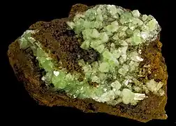 Cuproadamite - Mine d'Ojuela, Mexique (7.5x 4,8 cm)