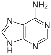 structure chimique de l'adenine