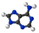 Image illustrative de l’article Adénine