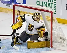 Photographie couleur d'un gardien de but de hockey sur glace