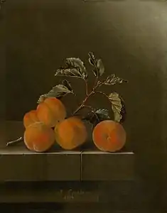 Cinq Abricots, 1704 Mauritshuis.