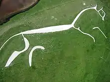 Photo vue du ciel d'un paysage d'herbe verte dans lequel se dessine la représentation schématique d'un cheval blanc de profil au galop.