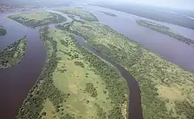 Vue du fleuve Congo, bordé d'arbres.