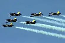 Patrouille Breitling.