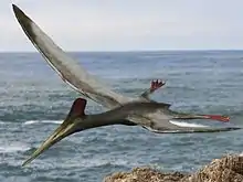 Reptile volant avec un large bec et ailes déployées, sur un fond maritime.