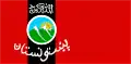 Drapeau du Pashtunistan (en) : le takbir y est inscrit au-dessus de l'emblème,.