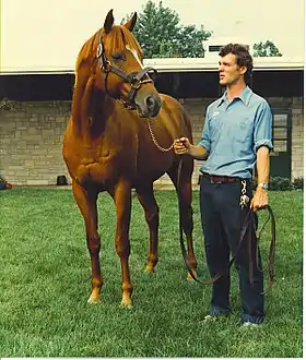 Photo en couleur d'un cheval roux tenu par un jeune homme, vus de face