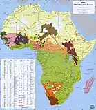 Principaux groupes ethniques en Afrique. Les populations chamito-sémitiques sont en beige .
