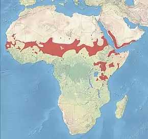 Description de l'image African_Silverbill_Distribution.jpg.