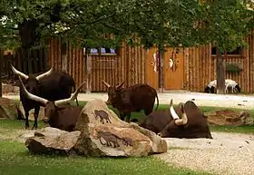 Image illustrative de l’article Jardin zoologique de Straubing