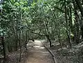 Ces forêts sont utilisées à des fins récréatives pour la marche, entre autres.