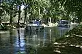 Platanes le long du canal du Midi