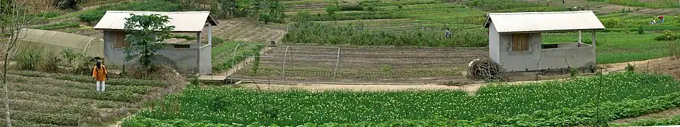 Vue panoramique du centre agropastoral Agri-Congo de Tchibambouka.