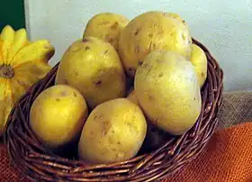 Image illustrative de l’article Agria (pomme de terre)