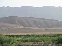 Le Kopet-Dag vu de la plaine d'Ahal.