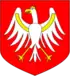 Aigle liée.