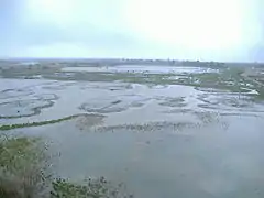 Les marais des Aiguamolls de l’Empordà.