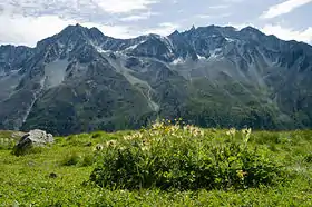 Vue de la dent de Tsalion (au centre à droite), avec l'aiguille de la Tsa à sa droite et, notamment, la pointe des Genevois et la dent de Perroc à sa gauche.