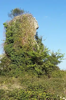 Château d'Aillas