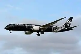 Boeing 787 All Black.