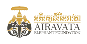 Image illustrative de l’article Fondation Aïravata pour les Eléphants Khmers