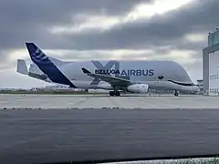 Airbus "Beluga XL" lors de son premier jour à St-Nazaire le 27/08/2019.