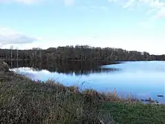 L'étang de Champroy vu depuis sa rive sud-ouest.