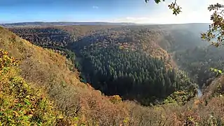 Belvédère sur la vallée du Lison.