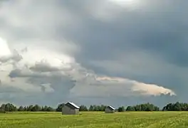 Plaine d'Alajoki à Ilmajoki. La rivière Kyrönjoki coule derrière les arbres du fond.