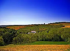 Albany Township (comté de Berks, Pennsylvanie)