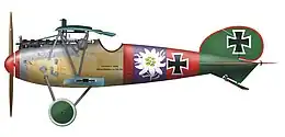 Albatros D.V de Paul Bäumer, Jasta 5