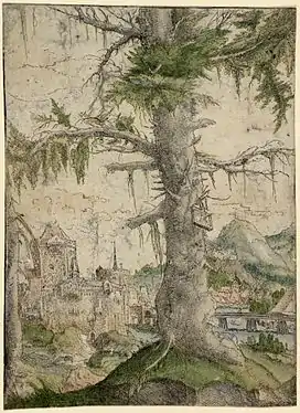 Albrecht Altdorfer, Petit épicéa, 1517–1520, eau-forte coloriée, Bartsch 66.