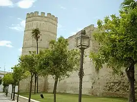 Tour octogonale et remparts