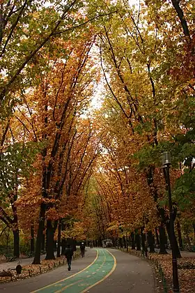 Image illustrative de l’article Parc Herăstrău