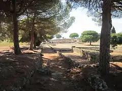 Ruines de la ville antique d'Aléria.