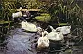 Canards sur un étang de roseaux (vers 1890)