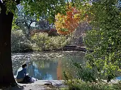 Plan d'eau dans Lincoln Park.