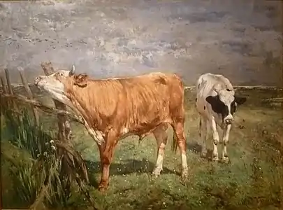 Taureau se frottant à une barrière (Knocke)