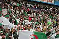 Les supporters algériens dans un match contre Roumanie en 4 juin 2014.