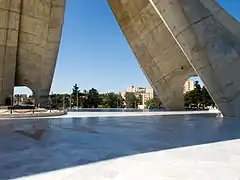 Vue des bases internes de deux des trois palmes.