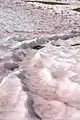 Algue des neiges (coloration rouge) en montagne (Vallée d'Aoste).